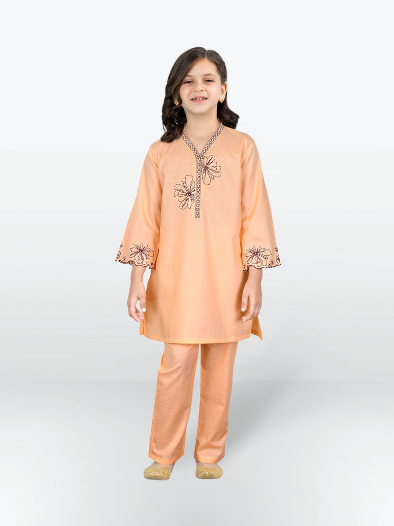 Girls Summer 2Pcs Embroidered Suit VG131-A