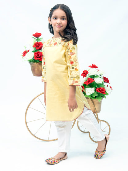 Girls Kurti (All Season) VG66-B