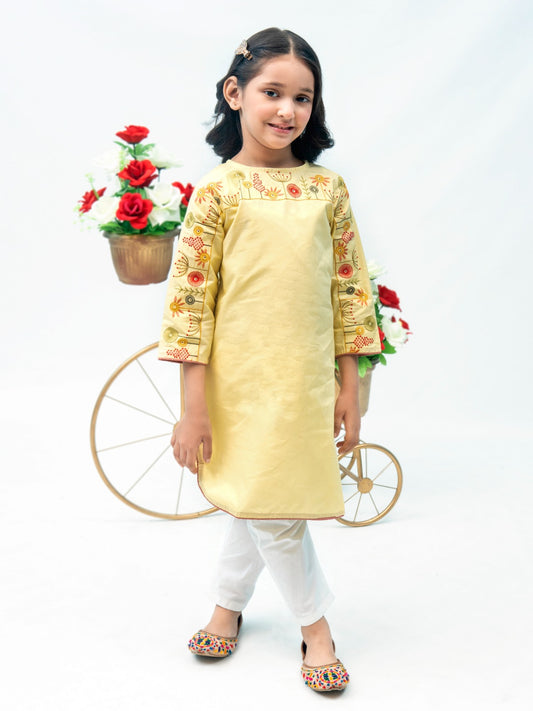 Girls Kurti (All Season) VG66-B